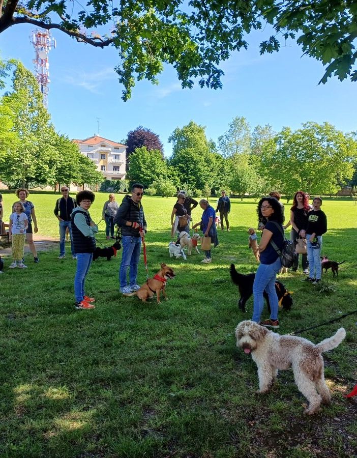 Successo per la &quot;Passeggiata a 6 Zampe&quot; a Borgomanero