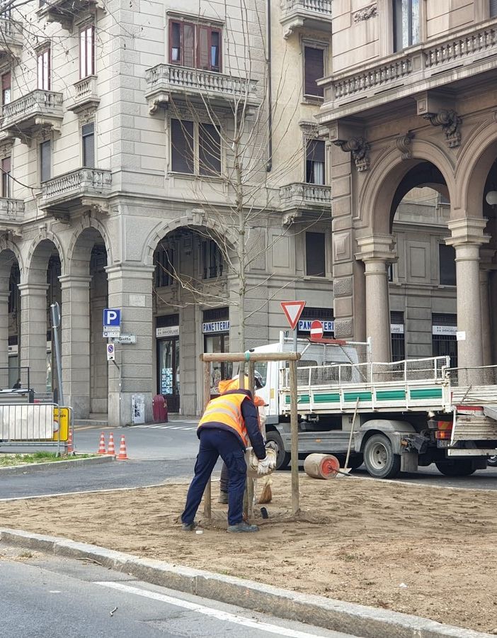 A Novara saranno messi a dimora 420 alberi