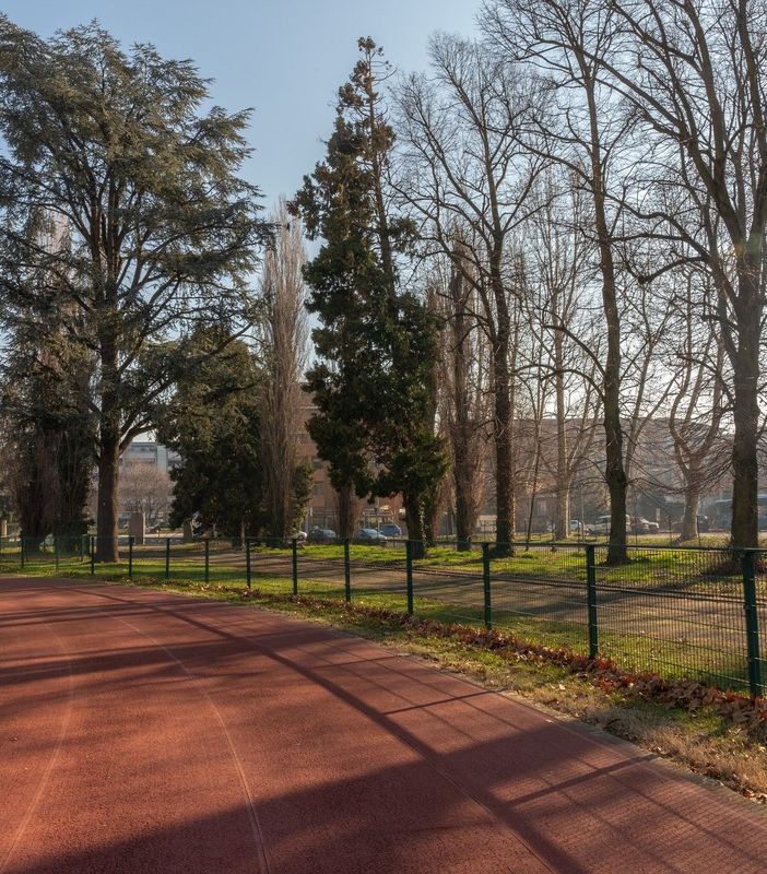 Rinnovamento del campo di atletica Gorla: Novara investirà 1,2 milioni di euro