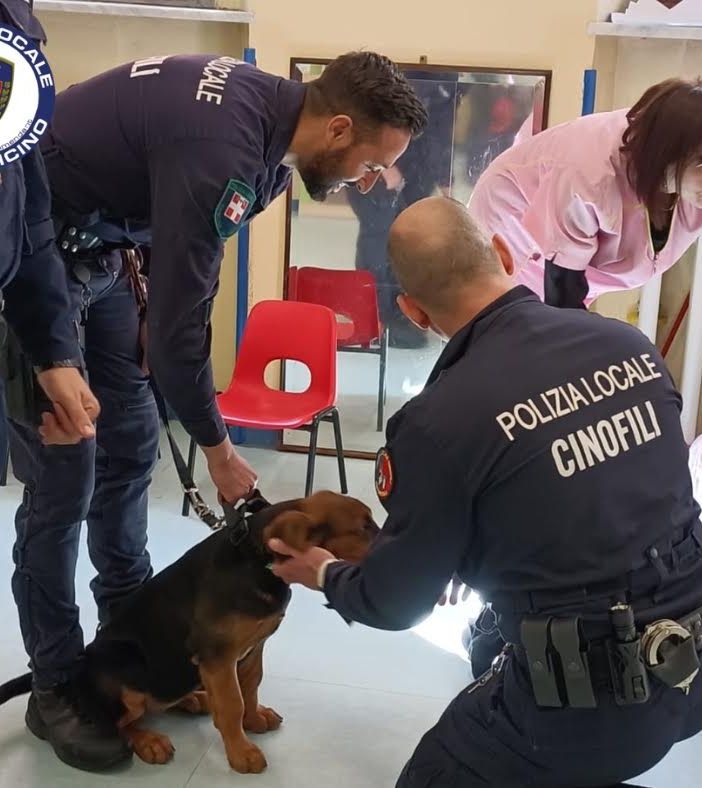 ‍Laboratori sulla sicurezza stradale con la polizia locale per i bambini della scuola dell’infanzia “Garzoli”