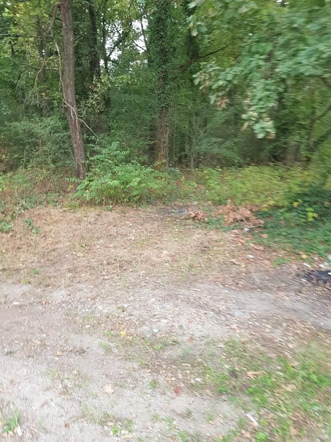 Trecate, ripulita la ex colonia del Parco del Ticino