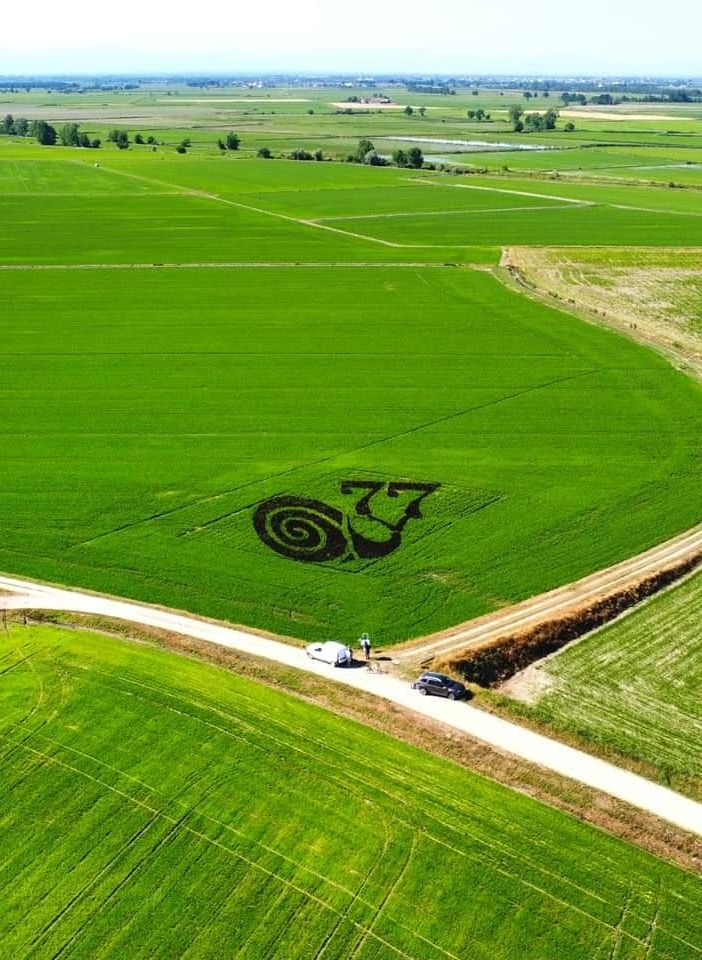 L’arte nelle risaie grazie agli agricoltori della Bassa Novarese