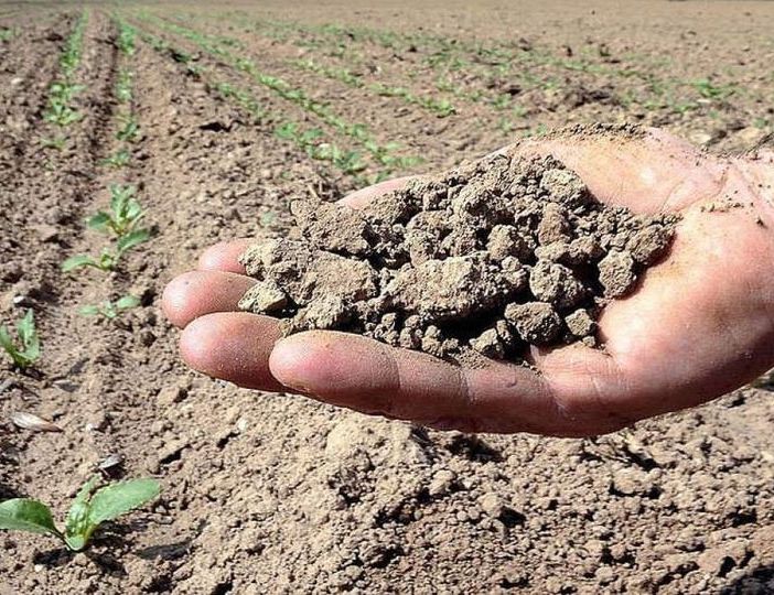 Siccità, nel Bacino del Po scatta l’allerta rossa