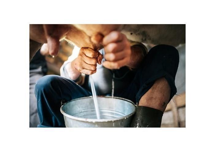 Coronavirus, la Regione propone il “Patto del Latte” per mantenere gli accordi di filiera