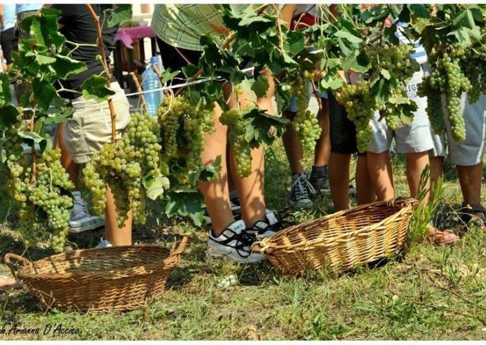 Coronavirus, Coldiretti Piemonte:&quot;Perdite stimate dal 60% al 70% per il vino made in Piemonte&quot;