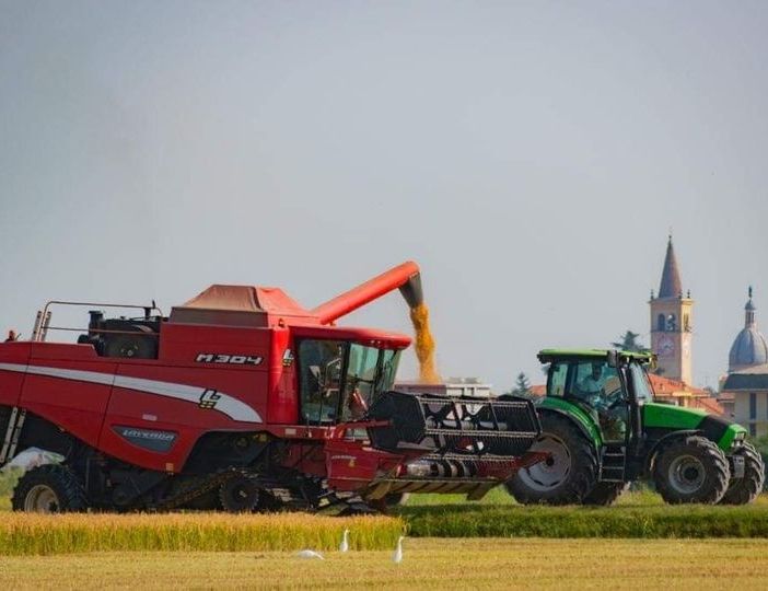 Coldiretti Novara-Vco – Riso, iniziata la raccolta dell’annata più difficile tra siccità e rincari