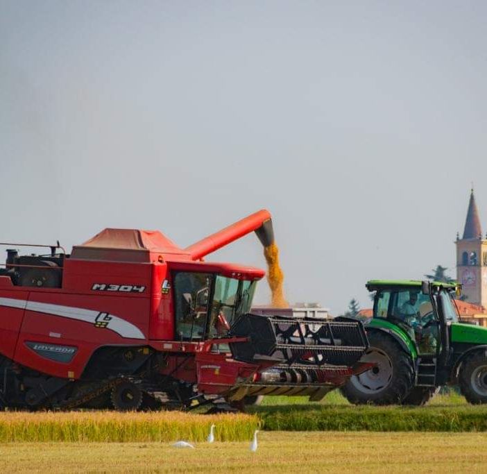 Fiera agricola e artigiana dei santi patroni Clemente e Cassiano a Trecate