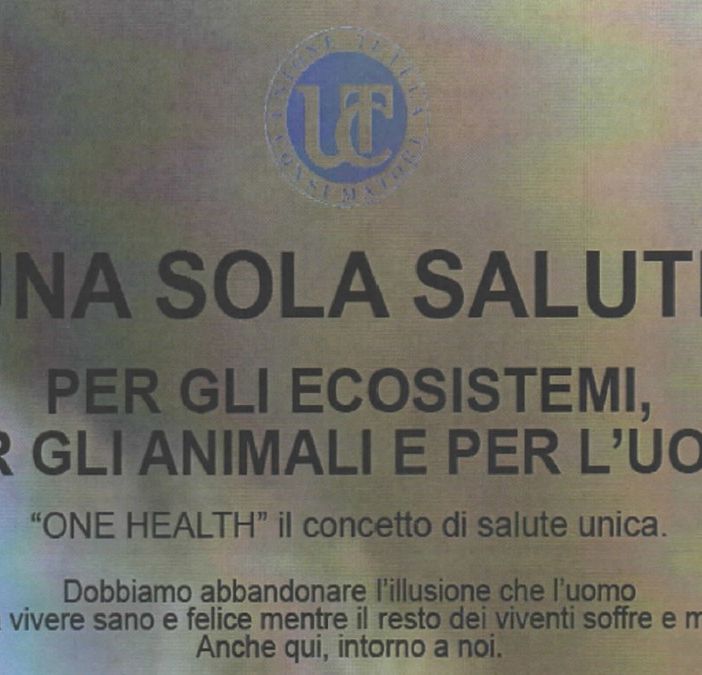Il convegno &quot;Una sola salute&quot; per esplorare legami tra ecosistemi, animali e umanità