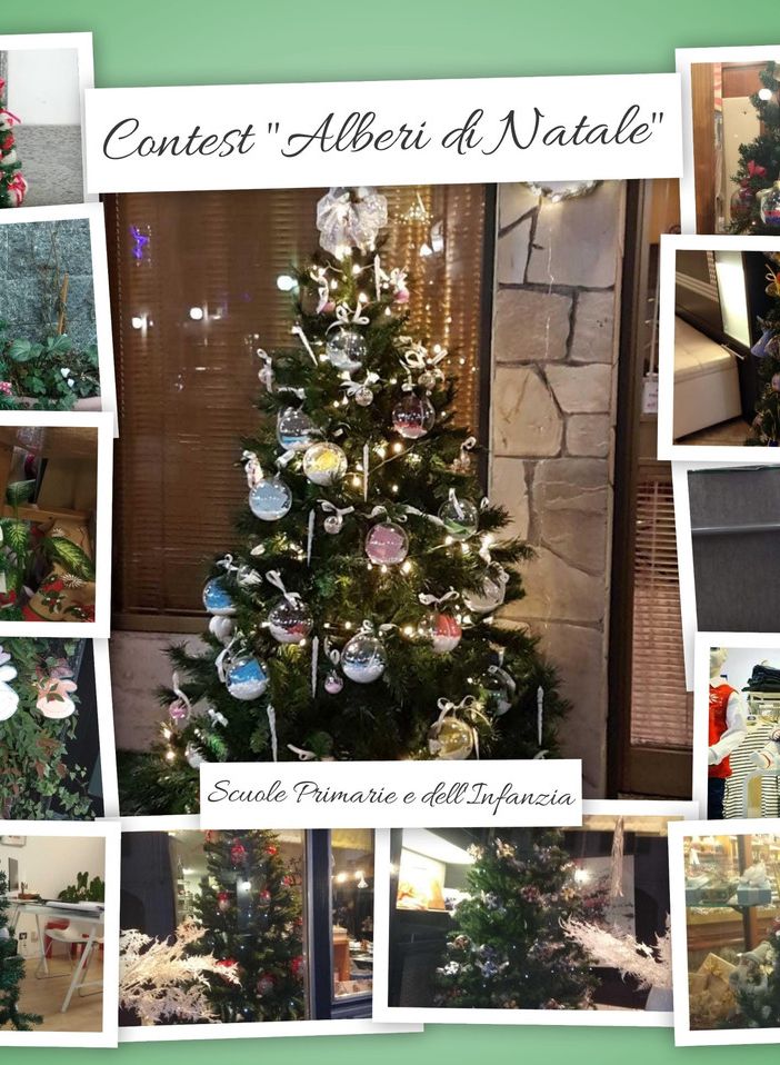 Trecate: domenica 19 gennaio la premiazione del contest “Alberi di Natale”.