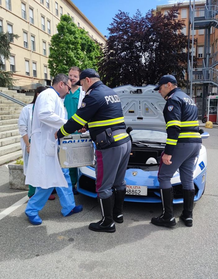 Lamborghini Huracán della polizia per il trasporto urgente di un rene da Novara a Roma