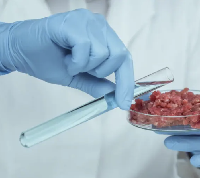 Coldiretti: “Continuano le follie in provetta, dalla carne agli embrioni umani”