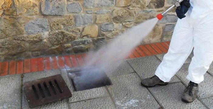 Ifantria: rinviato l'intervento di disinfestazione sulle piante di proprietà comunale
