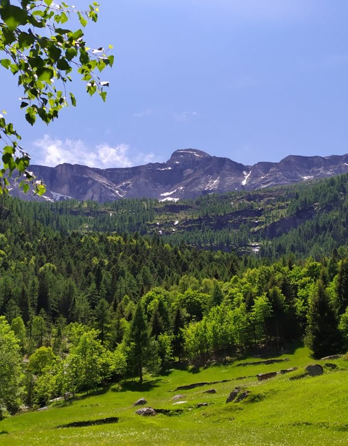 Unioni montane, dalla Regione 2,4 milioni di euro