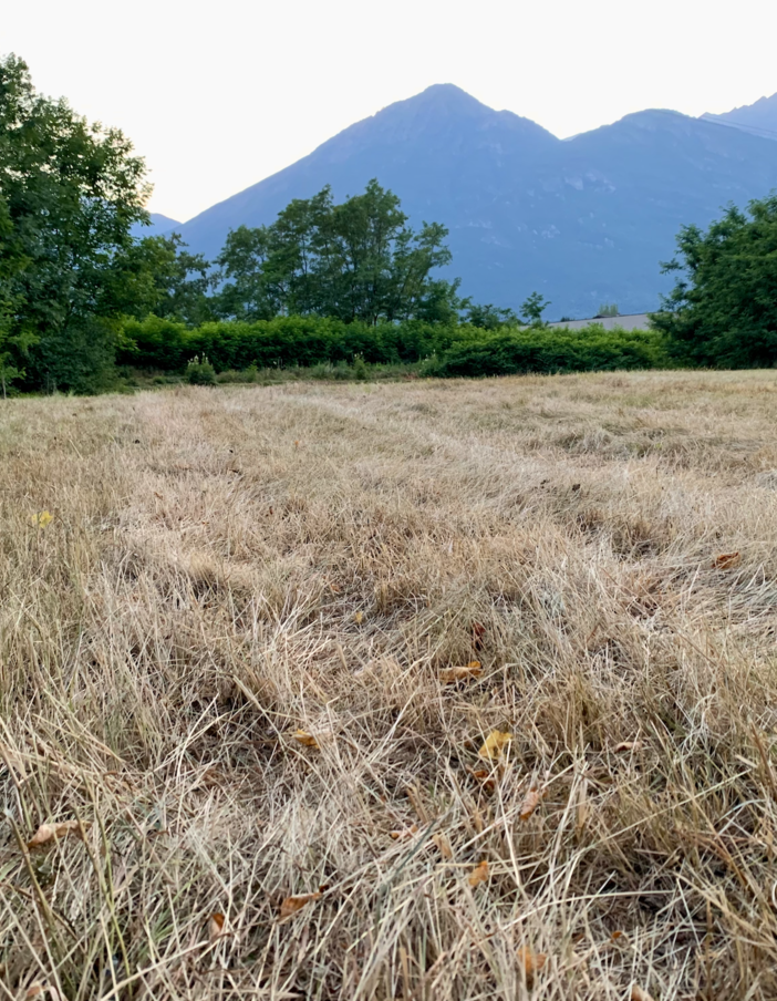 Siccità, guerra e pandemia: l'agricoltura piemontese paga già un conto da oltre un miliardo di euro