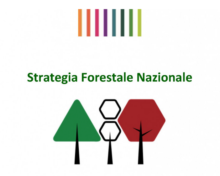 “Strategia Green Communities e quella forestale sono complementari”