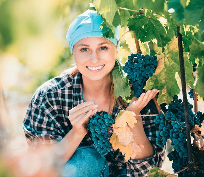 Il lago Maggiore “vetrina” per 100 donne produttrici di vino