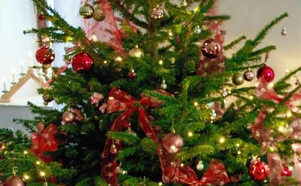 Per le scuole piemontesi il Natale non è finito: c'è tempo fino al 20 gennaio per partecipare al concorso fotografico della Regione