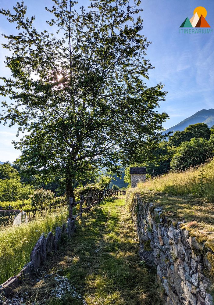 All’Alpe Briasca: l’alpeggio di Trontano