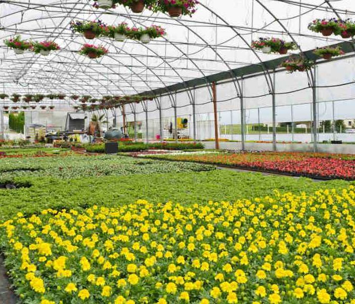 Florovivaismo: approvata in Senato la normativa che sostiene la produzione