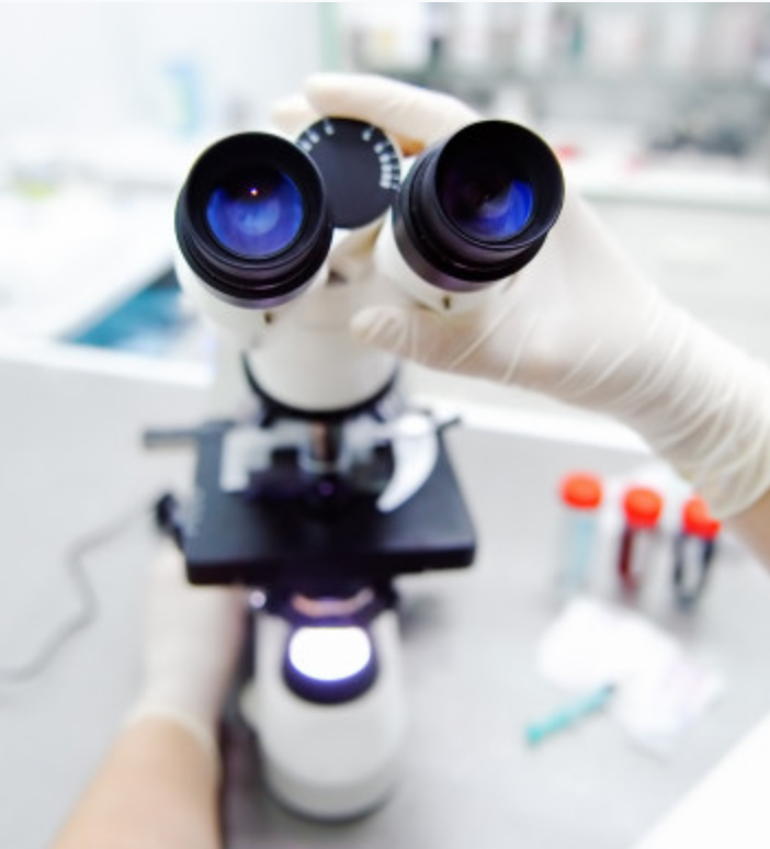 Risposta immunitaria a batteri, parassiti e virus: nuove strade contro le infezioni