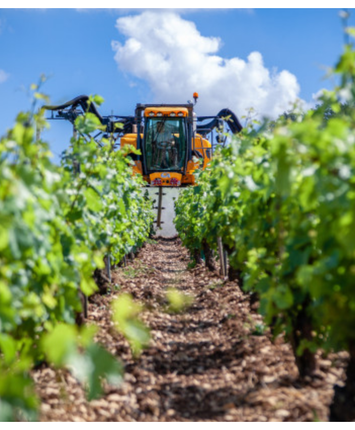 Coldiretti Piemonte: sbloccati 55 milioni per la gestione del rischio nelle imprese agricole