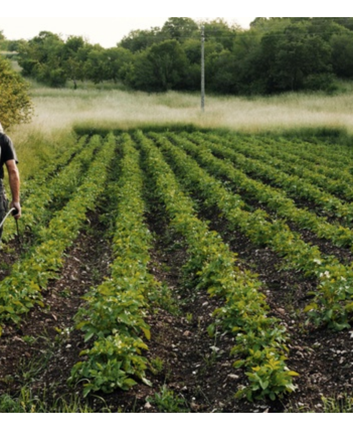Al via il bando per il servizio civile in agricoltura