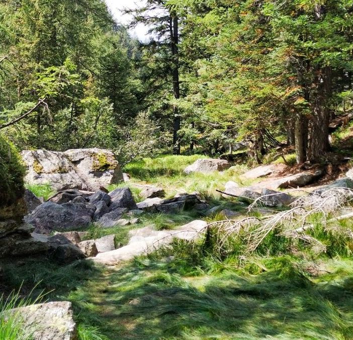 Alla ricerca del Lago Secco in Valle Anzasca