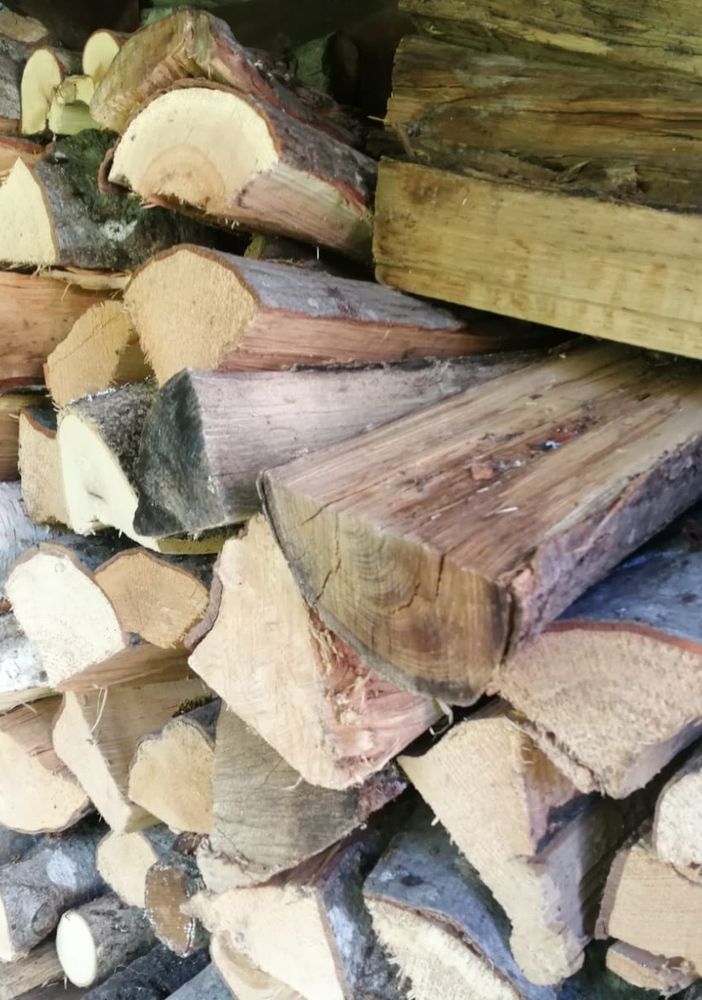 “Ridurre Iva su legno, pellet e legna da ardere nella prima stesura della legge di bilancio”