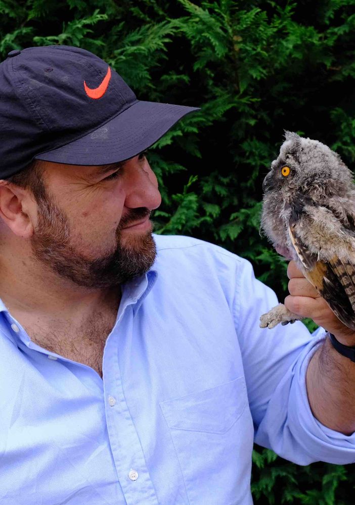 Arona: gufi, yoga e scrittura nel bosco con Marco Mastrorilli