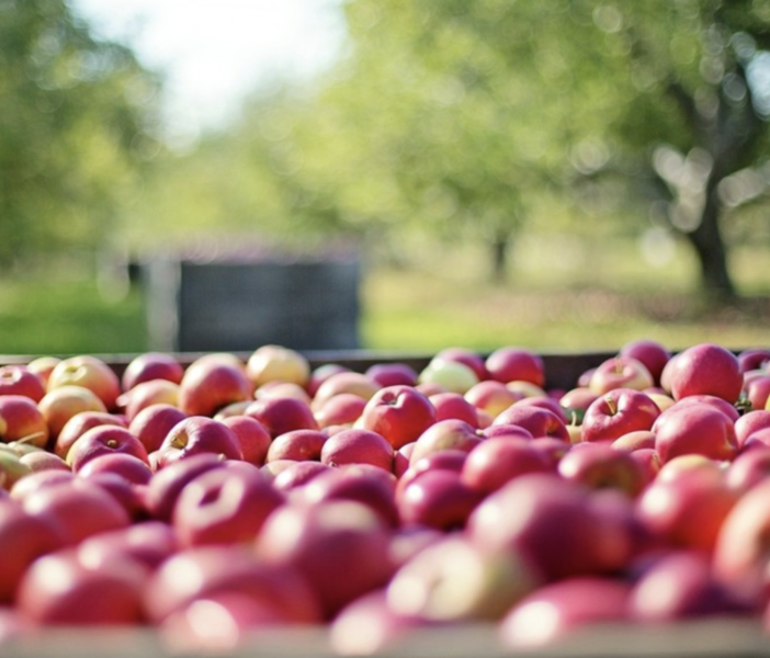 Confagricoltura Piemonte: con siccità e caro energia frutticoltura a rischio