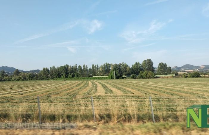 Regimi di qualità: la regione Piemonte apre un bando da oltre un milione di euro