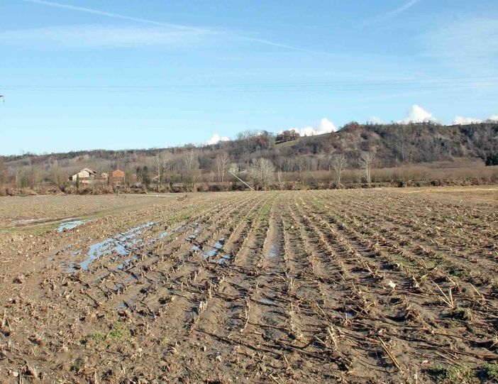 È allarme siccità, Coldiretti: &quot;Produzioni ridotte già del 30%