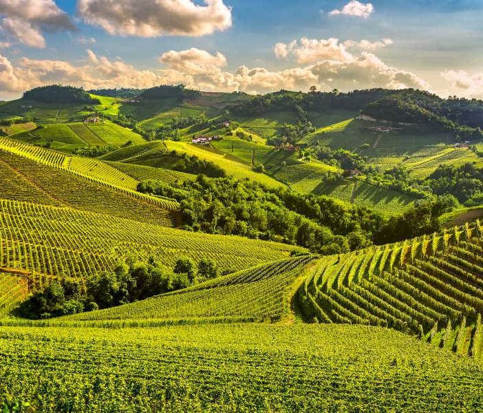 Aziende vitivinicole, in Piemonte 4.8 milioni per nuove sale degustazione e punti vendita