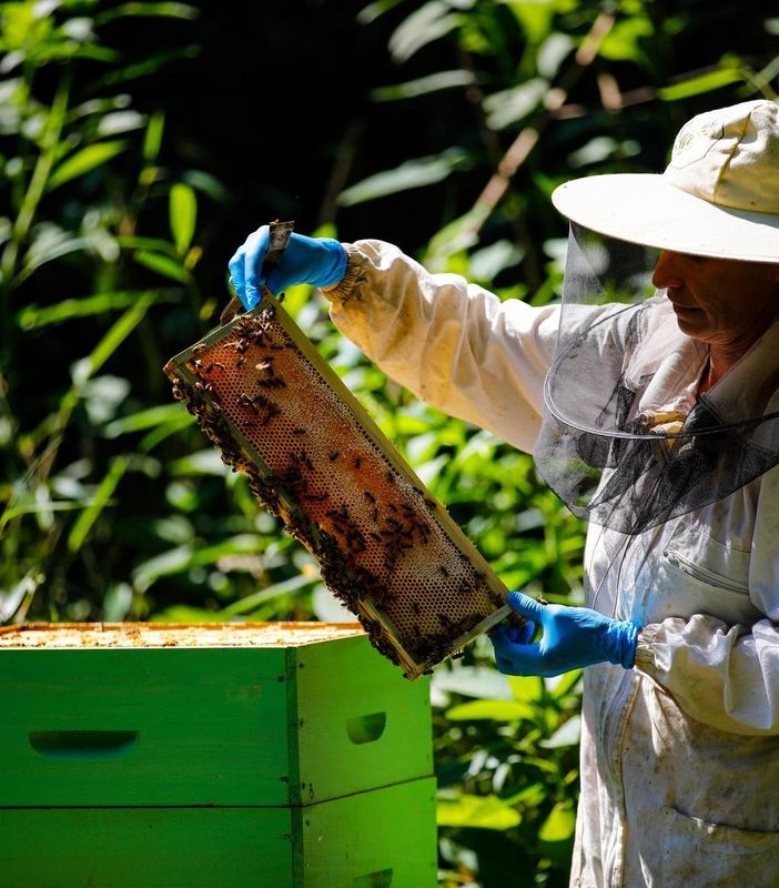 Allarme caldo anomalo: in Piemonte in pericolo la produzione di frutta
