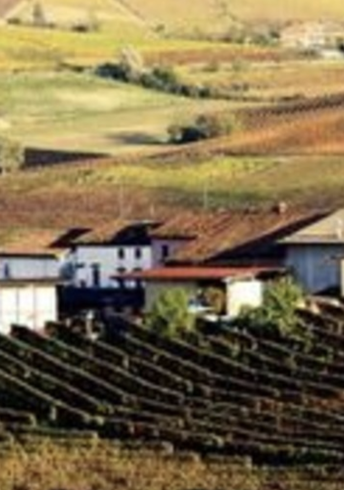 Biologi per il Rinnovamento, un pomeriggio sulle colline del Monferrato