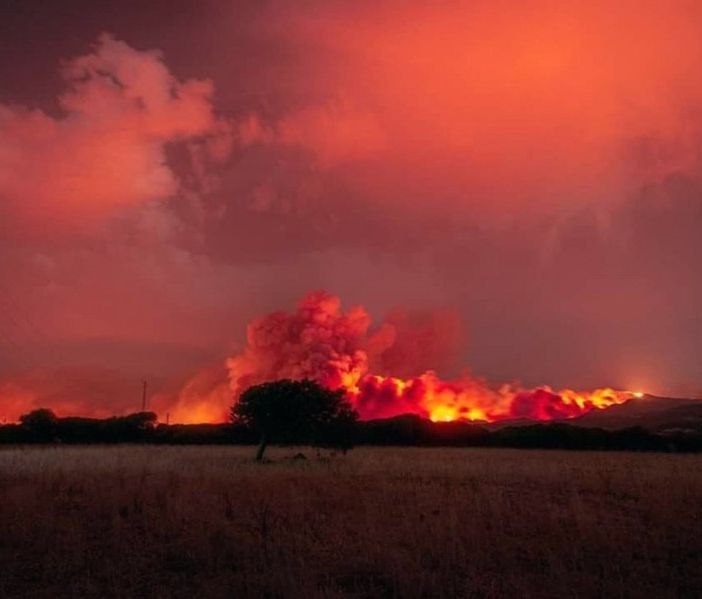 Incendi, dal Piemonte automezzi e un contingente Aib in aiuto di Sicilia e Sardegna
