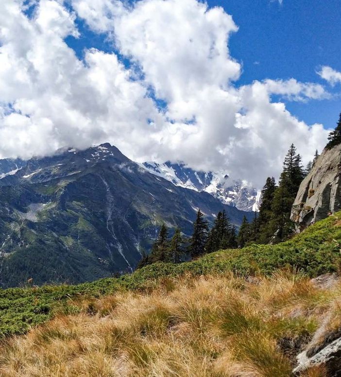 Escursione all'Alpe Cicerwald e all'Alpe Tore