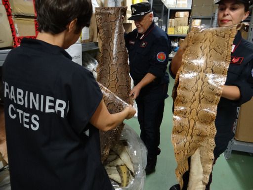 “Difesa delle Specie, Tutela della Cultura”, il calendario CITES dell’Arma dei Carabinieri 2022