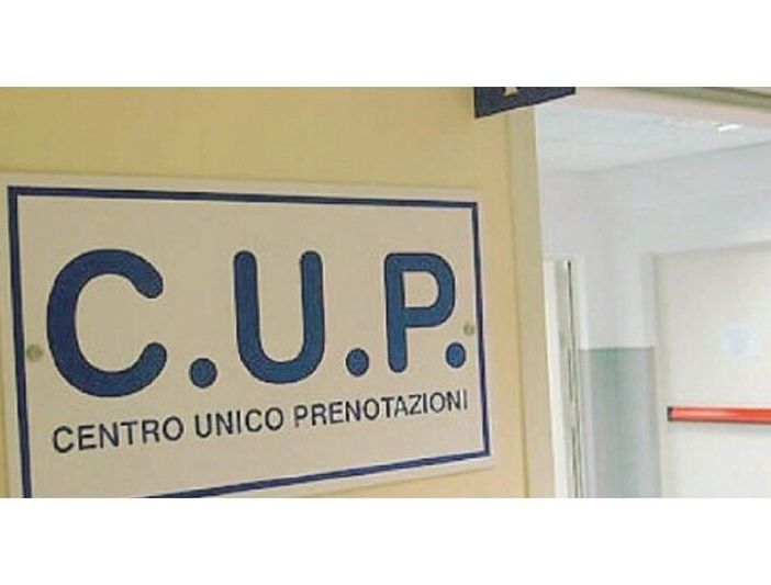 Cup Piemonte, M5S all'attacco: &quot;L'assessore Icardi continua a perdere tempo&quot;
