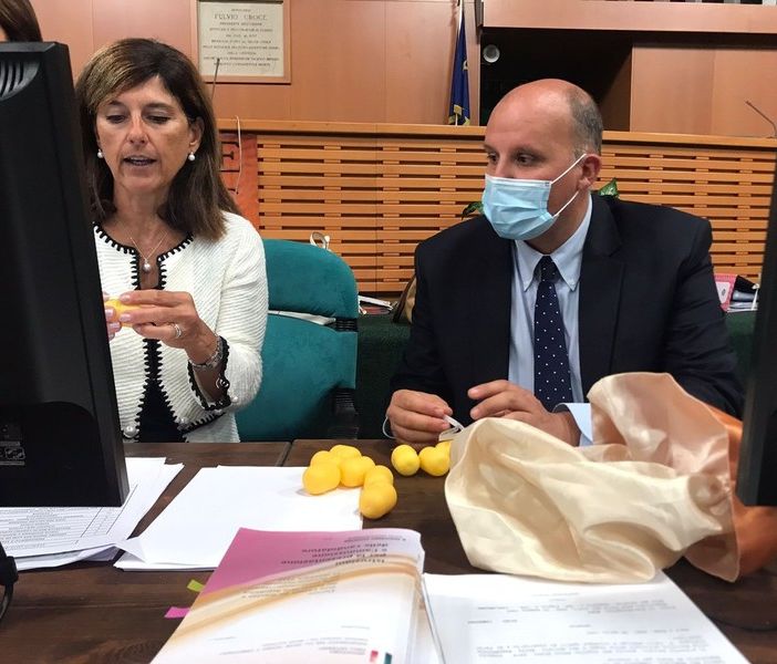 Elezioni, la scheda del Senato in Piemonte: Mastella primo partito, destra prima della sinistra