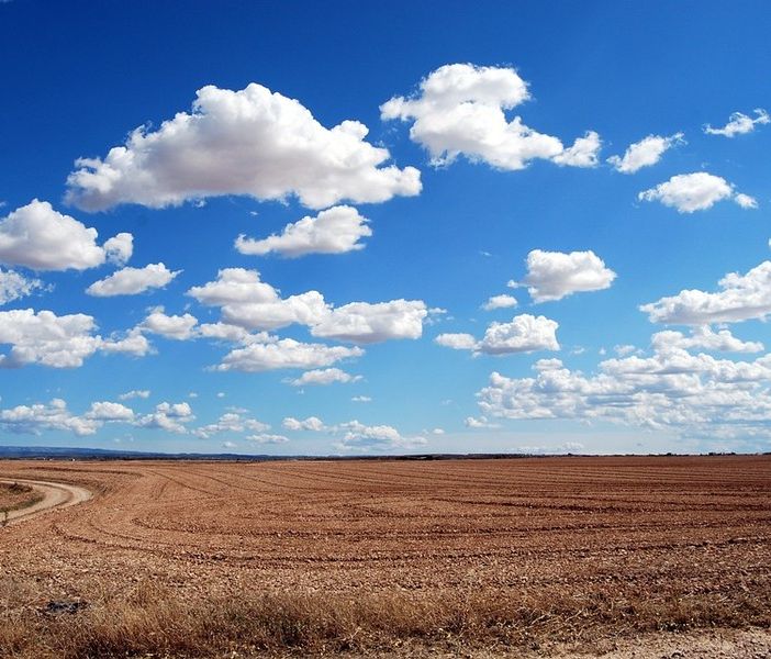Bandi per interventi agro-climatico-ambientali, agricoltura biologica e benessere animale: prorogata la scadenza