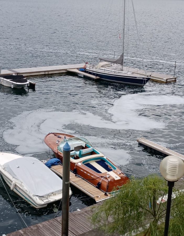 Scie di schiuma sul lago Maggiore, Arpa: fenomeno naturale e non tossico