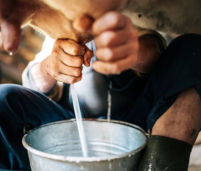 Tavolo del latte, le aziende agricole chiedono risposte urgenti