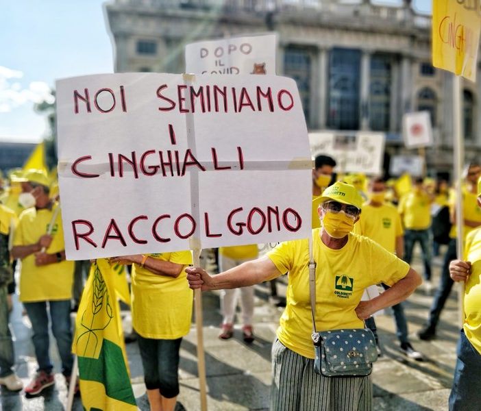 “Per fermare i cinghiali serve piano di contenimento con cacciatori, polizia provinciale e guardie venatorie”