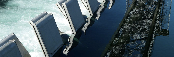 Progetto Parchi Verbano Ticino: risultati e sfide per una gestione sostenibile del Lago Maggiore Progetto Parchi Verbano Ticino: risultati e sfide per una gestione sostenibile del Lago Maggiore