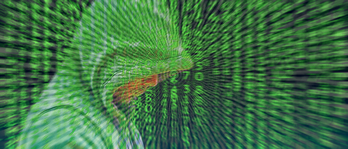 Intelligence italiana, al via il reclutamento: si cercano nuovi 007