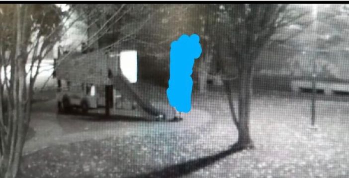 Cameri: imbratta i giochi del parco con escrementi, immortalato dalla videosorveglianza Cameri: imbratta i giochi del parco con escrementi, immortalato dalla videosorveglianza
