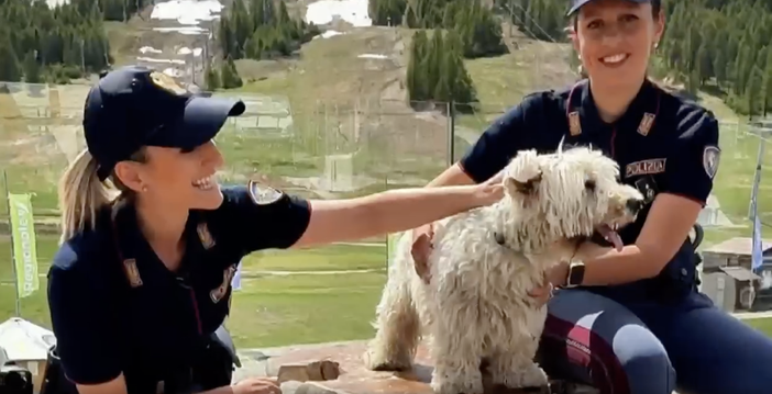 Estate e animali: la Polizia lancia l’allarme contro gli abbandoni Estate e animali: la Polizia lancia l’allarme contro gli abbandoni