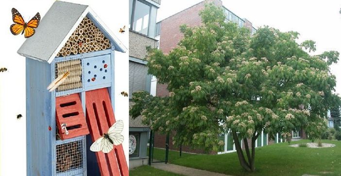 Al Bioparco Roggia Moretta sarà installato un ‘Bee Hotel’