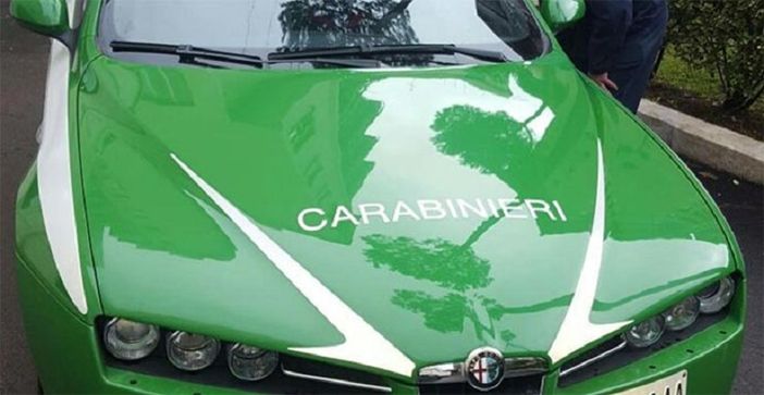Carcasse di animali abbandonate nelle campagne e nei boschi: un denunciato Carcasse di animali abbandonate nelle campagne e nei boschi: un denunciato